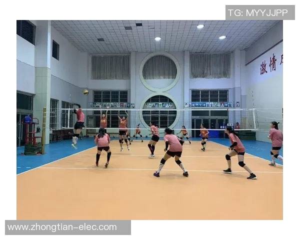 深度对话刘娜的排球人生探索与成长之路分享