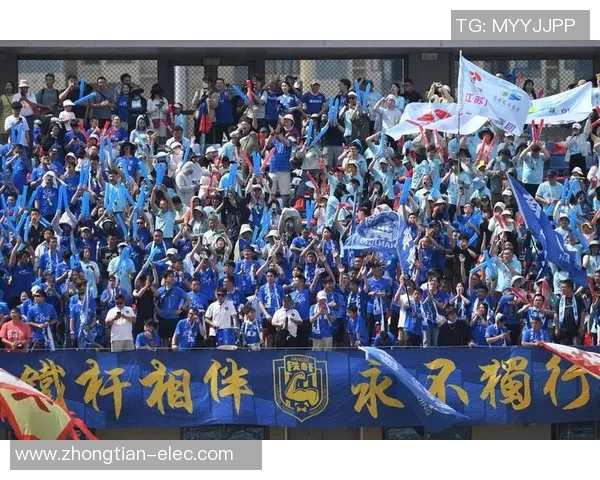 南京排球队团队协作的独特优势与其他球队的深度对比分析 南京排球队团队协作的独特优势与其他球队的深度对比分析