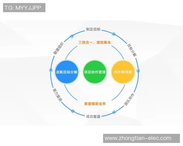 成都与武汉排球队赛后复盘团队协作的成功与不足分析 成都与武汉排球队赛后复盘团队协作的成功与不足分析