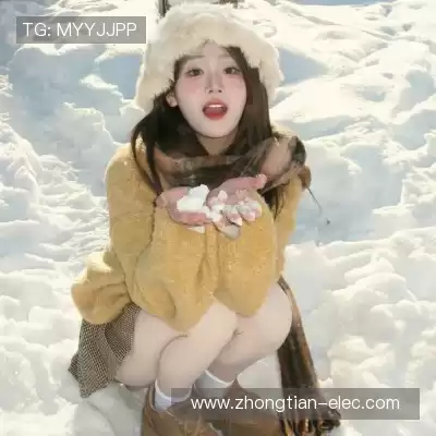 窦耿禹